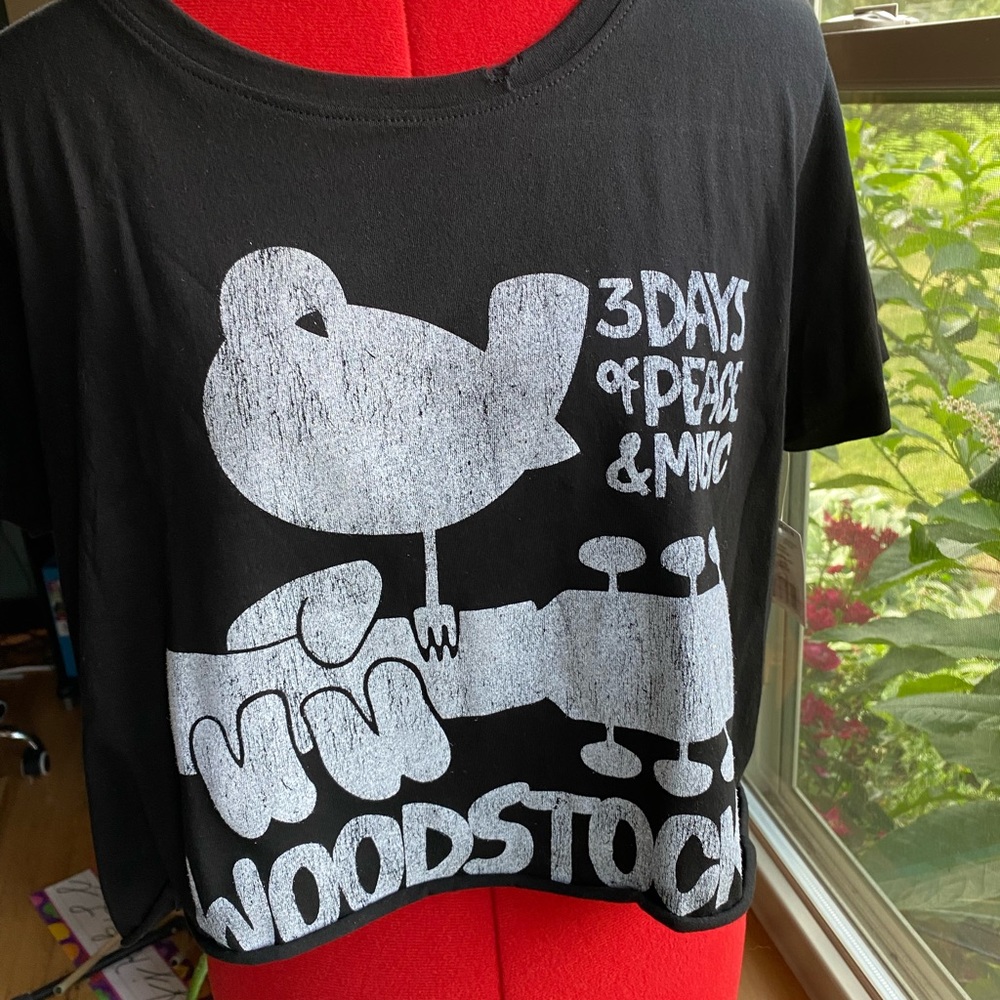 Woodstock crop! Distressed style, so cute! Sz L